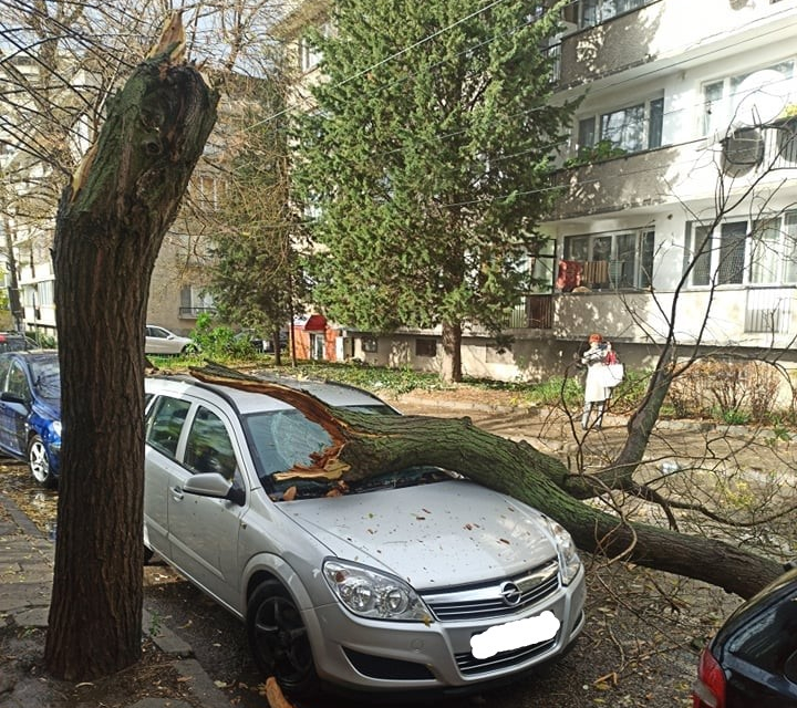 Буря със силен югозападен вятър и градушка нанесе щети в Сливен. Сигналите от жители на общината са основно за пречупени дървета. Наш слушател ни изпрати...
